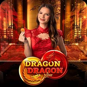 Dragon Dragon